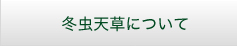 冬虫天草について